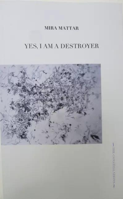 Yes, I Am A Destroyer