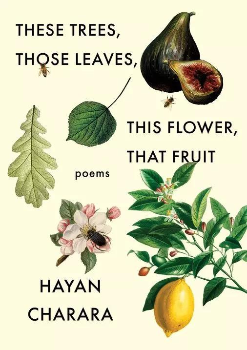 These Trees, Those Leaves, This Flower, That Fruit